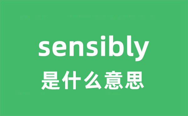 sensibly是甚么意义