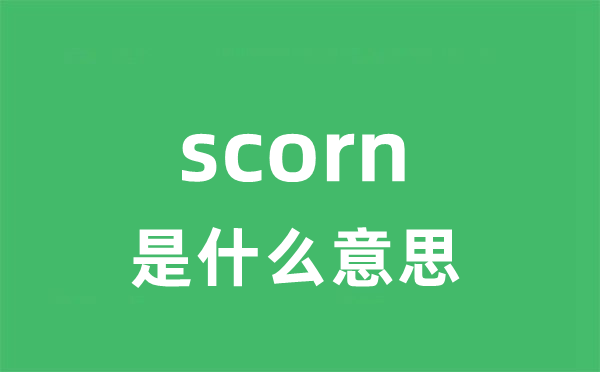 scorn是甚么意义