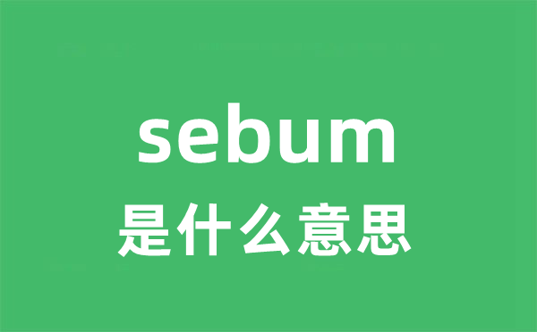 sebum是甚么意义