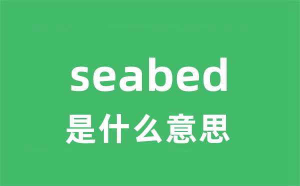 seabed是甚么意义
