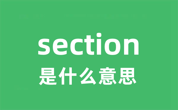 section是甚么意义
