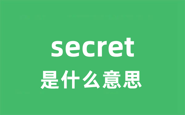 secret是甚么意义