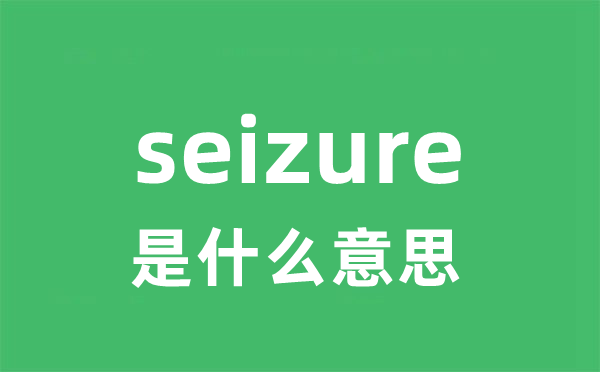 seizure是甚么意义