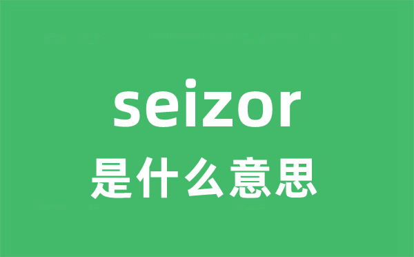 seizor是甚么意义