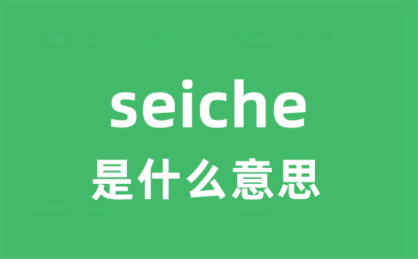 seiche是甚么意义