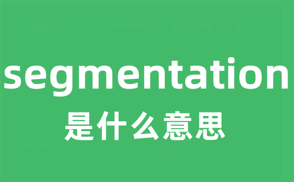 segmentation是甚么意义