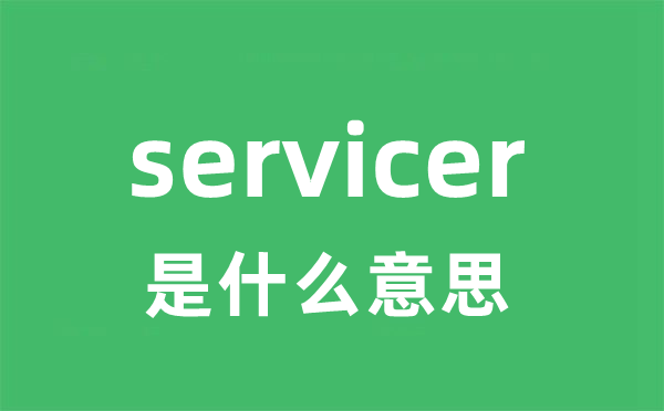 servicer是甚么意义