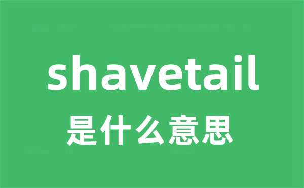 shavetail是甚么意义