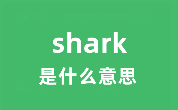 shark是甚么意义