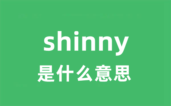 shinny是甚么意义