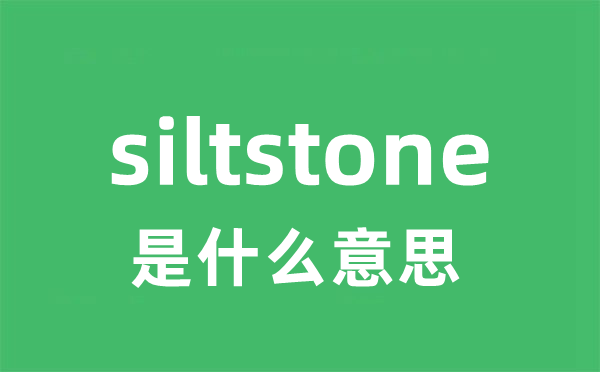 siltstone是甚么意义