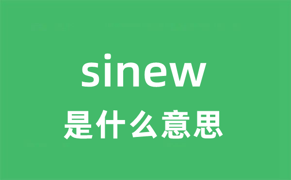 sinew是甚么意义