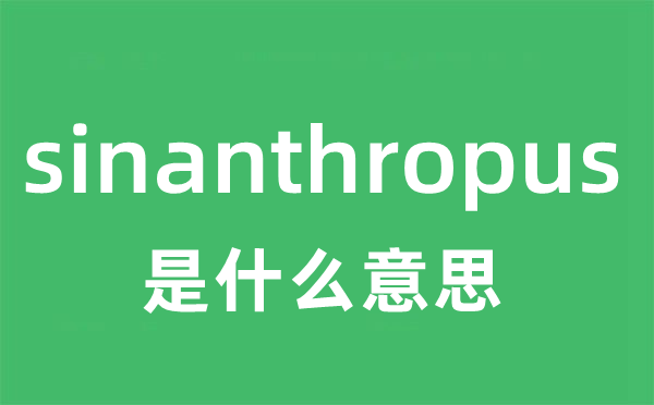 sinanthropus是甚么意义