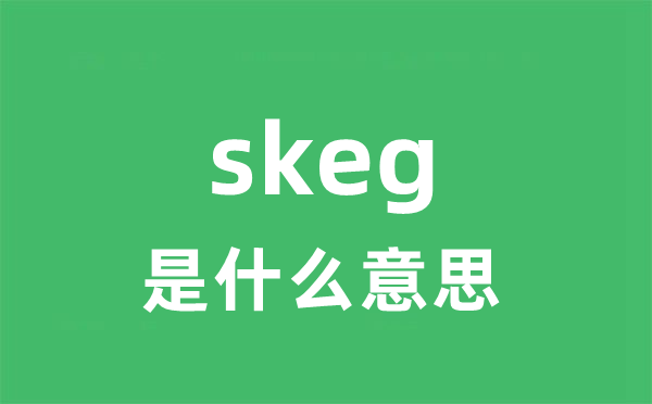 skeg是甚么意义