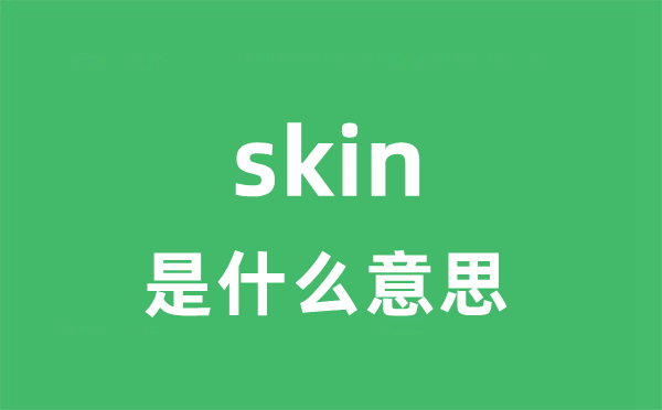 skin是甚么意义