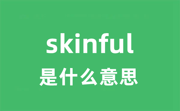 skinful是甚么意义