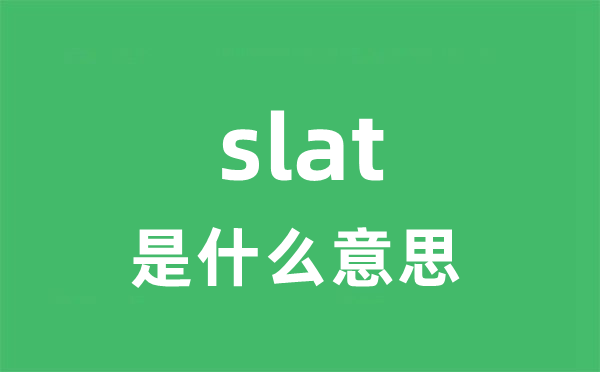 slat是甚么意义