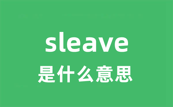 sleave是甚么意义