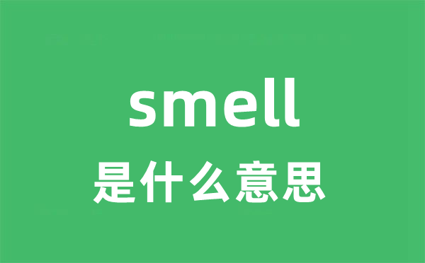 smell是甚么意义