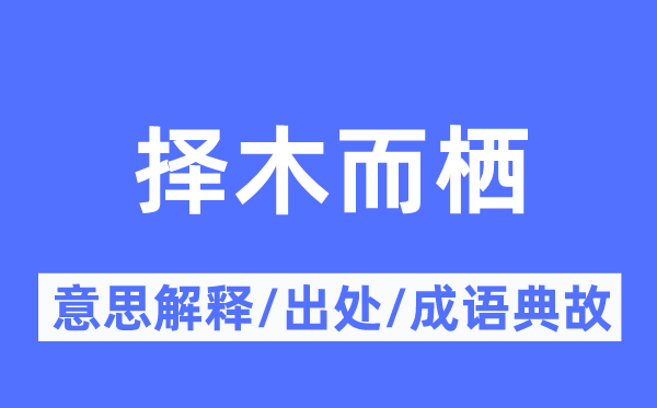 择木而栖的意义诠释,择木而栖的来由及针言典故