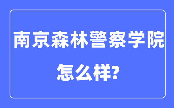 南京丛林差人学院是几本一本仍是二本,南京丛林差人学院怎样样?