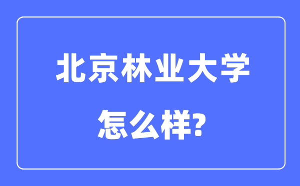 北京林业大学是985仍是211,北京林业大学怎样样？
