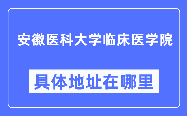 安徽医科大学临床医学院详细地点在那里,在哪一个都会，哪一个区？