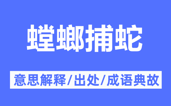 螳螂捕蛇的意义诠释,螳螂捕蛇的来由及针言典故