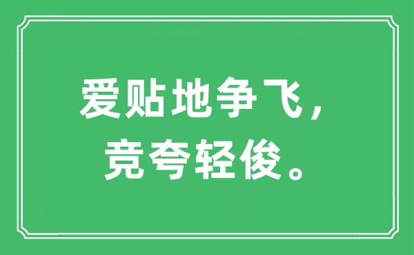 “爱贴地争飞，竞夸轻俊。”是甚么意义,来由及原文翻译