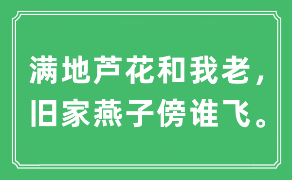 “满地芦花和我老,旧家燕子傍谁飞”是甚么意义,来由及原文翻译