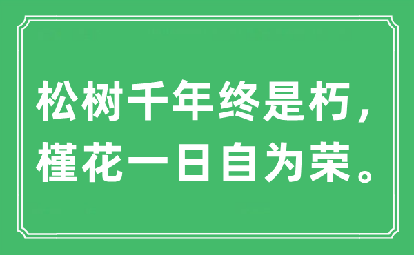 “松树千年终是朽,槿花一日自为荣。”是甚么意义,来由及原文翻译