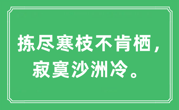 “拣尽寒枝不肯栖,孤单沙洲冷”是甚么意义,来由及原文翻译