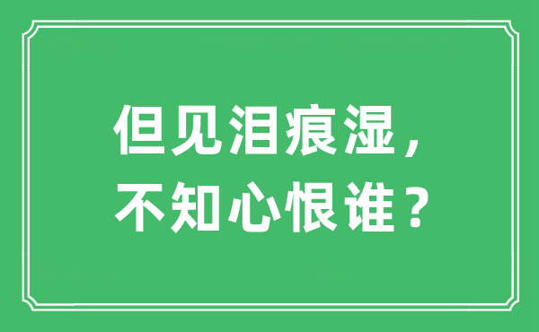 “但见泪痕湿，不贴心恨谁？”是甚么意义,来由及原文翻译
