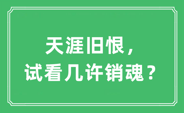 “海角宿恨，试看几多断魂？”是甚么意义,来由及原文翻译