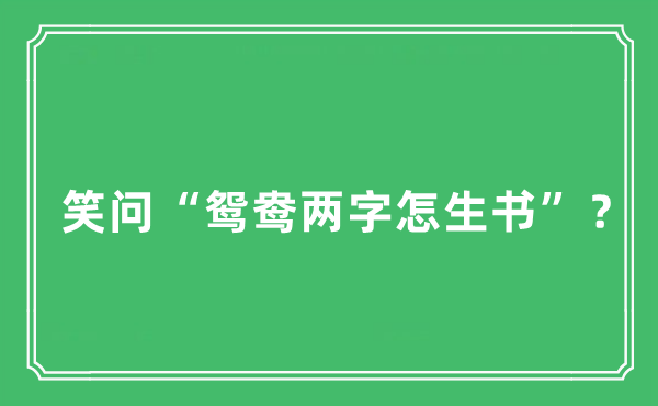 “笑问“鸳鸯两字怎生书”?”是甚么意义,来由及原文翻译
