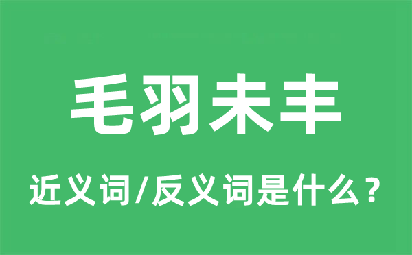 毛羽未丰的近义词和反义词是甚么,毛羽未丰是甚么意义