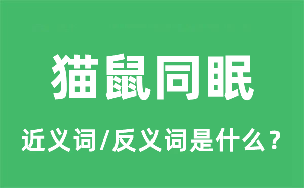 猫鼠同眠的近义词和反义词是甚么,猫鼠同眠是甚么意义