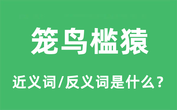 笼鸟槛猿的近义词和反义词是甚么,笼鸟槛猿是甚么意义