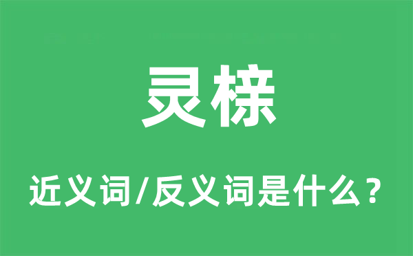 棺木的近义词和反义词是甚么,棺木是甚么意义