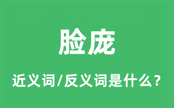 脸蛋的近义词和反义词是甚么,脸蛋是甚么意义