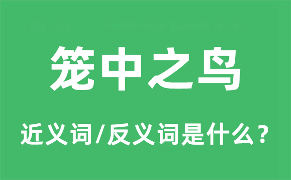 笼中之鸟的近义词和反义词是甚么,笼中之鸟是甚么意义