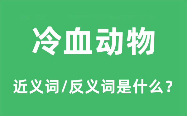 冷血植物的近义词和反义词是甚么,冷血植物是甚么意义