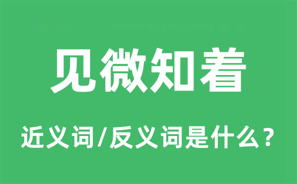 尝鼎一脔的近义词和反义词是甚么,尝鼎一脔是甚么意义