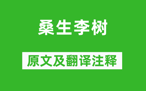 《桑生李树》原文及翻译正文,诗意诠释