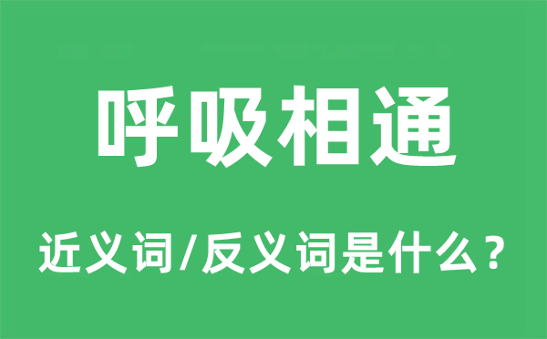 呼吸雷同的近义词和反义词是甚么,呼吸雷同是甚么意义