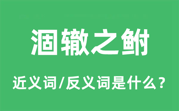 涸辙之鲋的近义词和反义词是甚么,涸辙之鲋是甚么意义