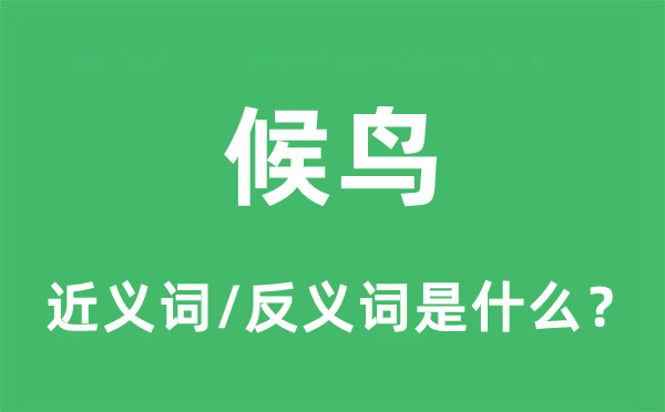 留鸟的近义词和反义词是甚么,留鸟是甚么意义