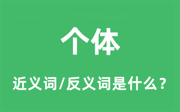 个别的近义词和反义词是甚么,个别是甚么意义