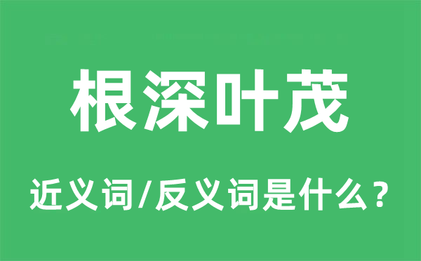根深叶茂的近义词和反义词是甚么,根深叶茂是甚么意义