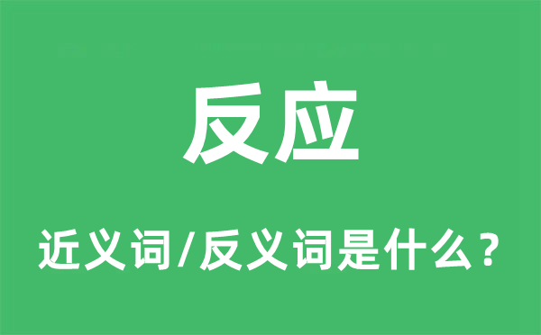 反映的近义词和反义词是甚么,反映是甚么意义